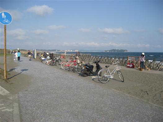 湘南海岸のサイクリングロード