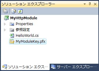 Visual Studio で作成したキーファイル