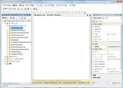 SQL Server 2008 Management Studio Express